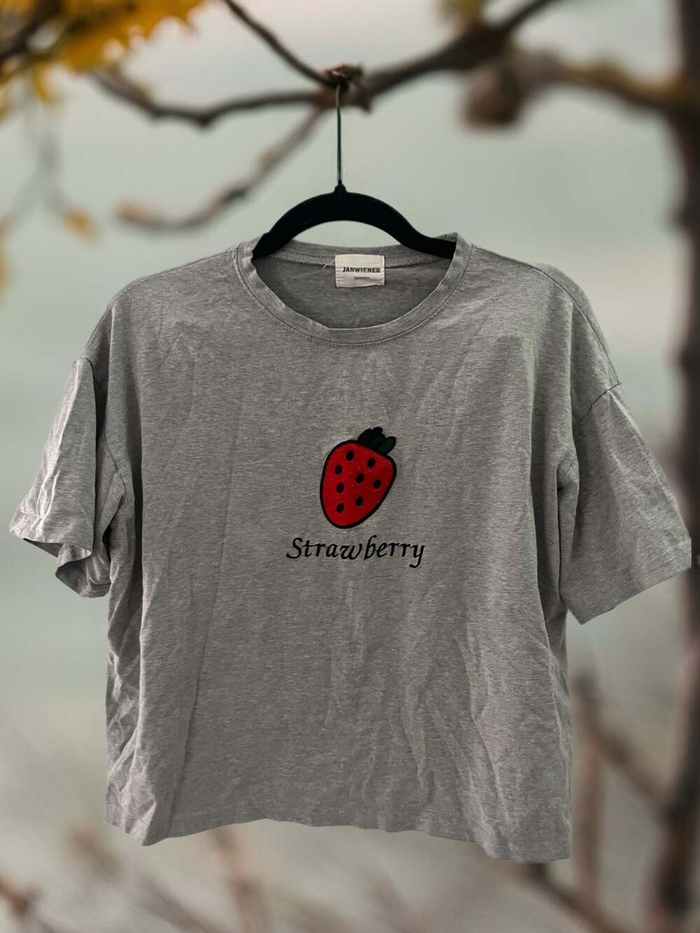 JANWIENER Heather Grey Strawberry Graphic Oversized Crop T-Shirt